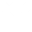 OpeningTree Tutorial 